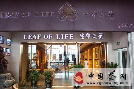 有关于限量独家专享 则道茶业首批纪念款普洱茶即将亮相的消息