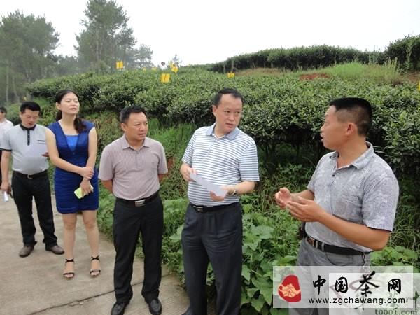 有关于驻宜省人大代表一行邱场乡调研指导茶叶产业发展的消息(1)