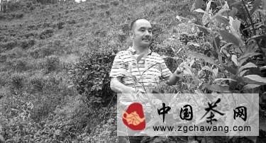 关于广西第一家红碎茶出口企业起死回生（图）的热门资讯