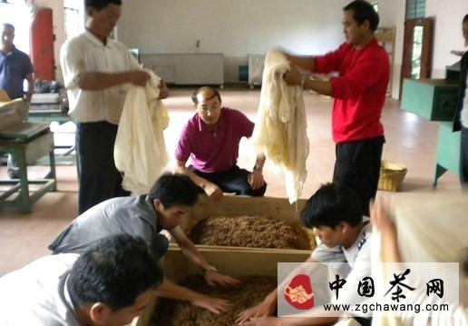 关于茶叶专家亲临元阳县指导红茶研究开发的信息