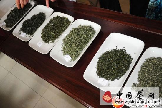 关于宜宾早茶“斗”出三大茶王的热门资讯(3)