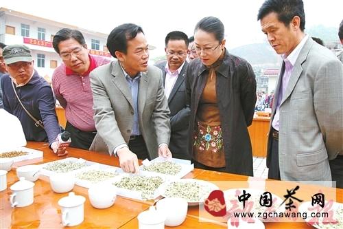 有关于仁化县扶持茶叶产业发展，打造广东产茶强县的热门新闻