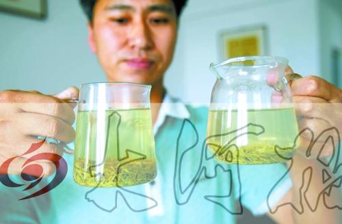 有关于信阳茶农很着急：好茶怎么没人要？的热门资讯