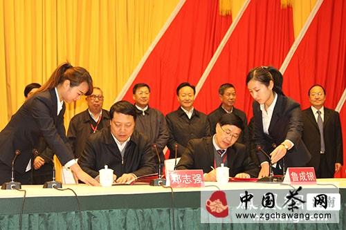 有关于河南茶产业发展战略高层论坛19日在信阳市举行的信息(1)