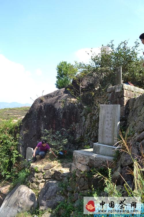 有关于安溪铁观音迈上国家农业文化申遗路的热门消息(1)