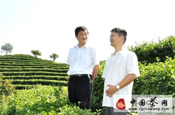 有关于与韩宝瑜教授对话岳西翠兰茶的热门信息