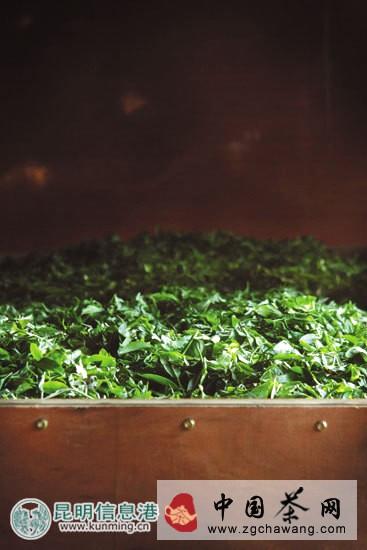 有关于茶局浅析：统筹2015茶叶  茶贱伤农隐忧在前的资讯