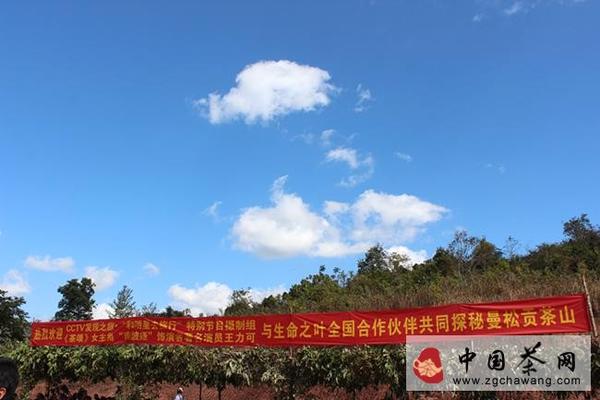 有关于给你不一样的曼松贡茶山的热门信息