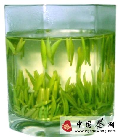 有关于焦聚：春茶即将上市，教你如何鉴别的最新资讯(5)