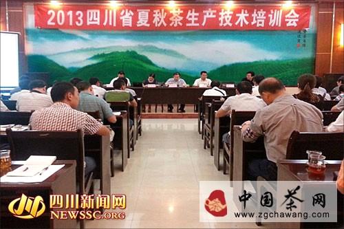 关于四川省夏秋茶生产技术培训会在宜宾叙府茶业举行的消息