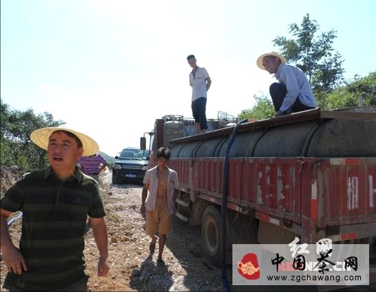 关于安化云台山黑茶基地遭重旱 政企合力保茶成绩显著的消息