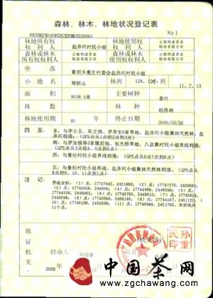 关于生命之叶曼松贡茶持续升值的秘密的最新资讯(4)