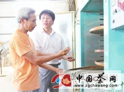 关于英山县全面推进“三山一坪”茶叶基地建设的热门新闻