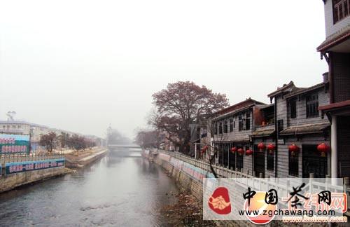 有关于西部雅安有个“水韵茶乡”的热门信息