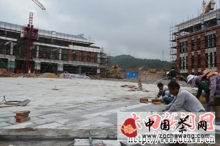 关于大田高山茶文化创意产业园建设进入扫尾阶段的热门消息