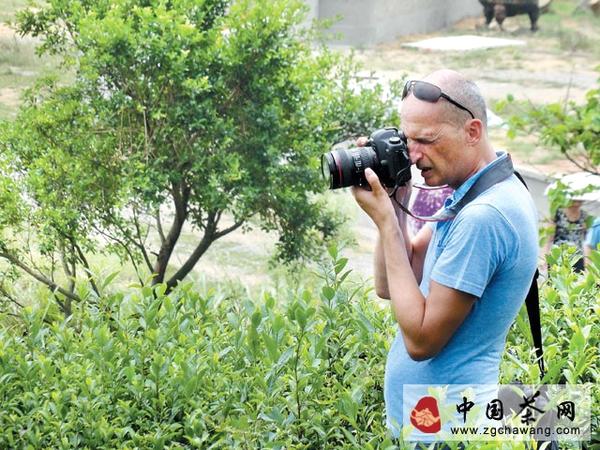 有关于法国茶企总裁点头考察“福鼎白茶”的最新消息