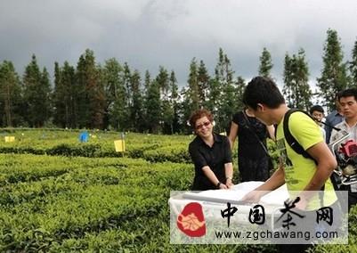 关于腾冲县召开现代茶叶产业技术体系机械采茶及加工交流培训会的消息