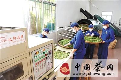 关于广西昭平打造“放心茶”“安全茶”的热门资讯