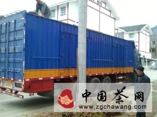 有关于湄潭县引进调运新品种茶苗打造青茶基地的热门资讯