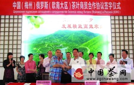 有关于嘉山应水孕育“嘉应茗茶”的最新消息