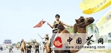 关于“重走茶叶之路”驼队抵达晋中榆次的消息