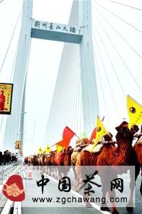 关于茶叶驼队跨过长江的热门新闻