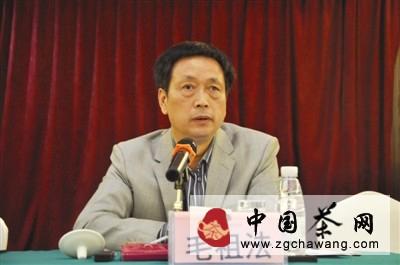 关于如何促进武义有机茶发展的热门信息