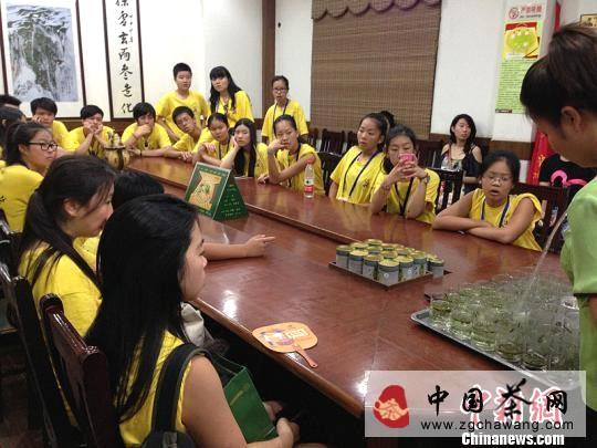 关于华裔青少年逛茶博物馆品龙井 领略杭城“茶”文化的信息