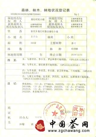 有关于解密生命之叶曼松贡茶三大真相的消息(3)