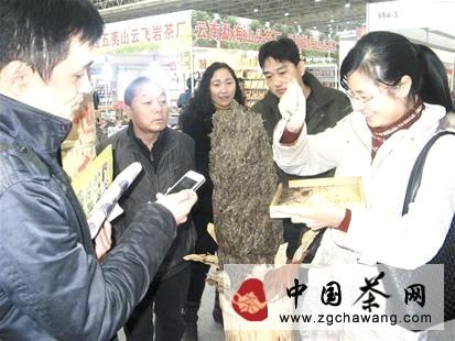 关于图文：千两茶任你撬 撬多少拿多少的热门资讯