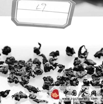 有关于泡茶英雄会·铁观音春茶赛顺利举办的最新信息(4)