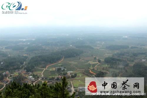 关于以茶兴镇 以茶扬镇 遵义凤冈打造“中华茶旅第一镇”的最新资讯