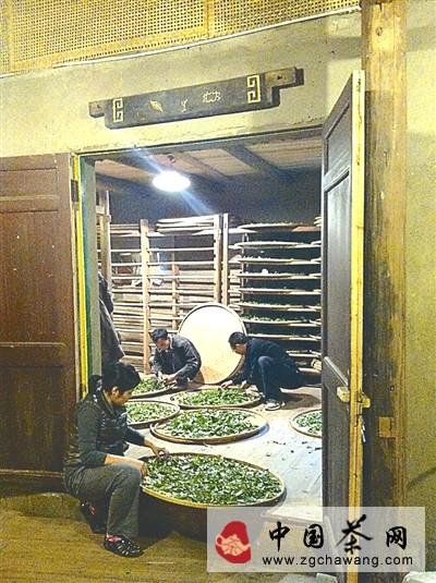 关于武夷山天心岩茶村的武夷岩茶制作技艺传承人的信息