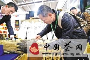 有关于“白沙溪”安化黑茶飘香茶博会 市民争相与“世界茶王”亲密接触的最新资讯(1)