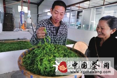 关于茶界专家座谈“贵州茶业”的信息