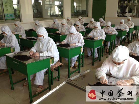 有关于陕西省茶企内调结构外拓市场应对高端茶市低迷的最新资讯(2)
