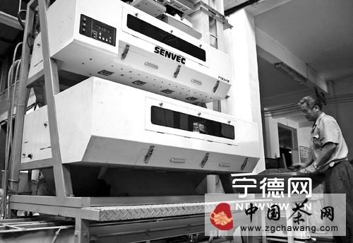 关于寿宁县高山乌龙茶神韵香飘四海的热门信息(2)