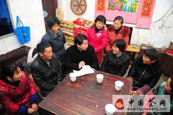 有关于郑孝和代表：优化投入结构 扶持茶产业健康发展的新闻(1)