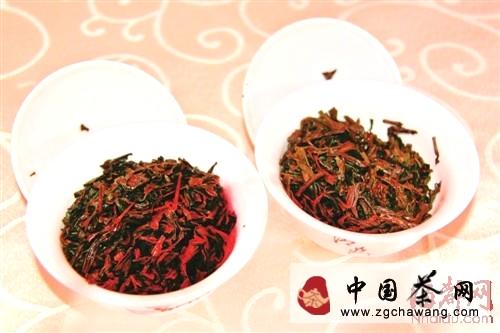 有关于海都茶友用味蕾饮遍全国的热门新闻