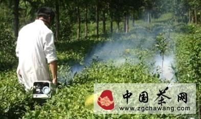 关于凤冈县茶园试用茶树绿色防控新技术的新闻