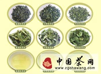 关于安溪铁观音中高端撑起北京茶市半边天的热门新闻