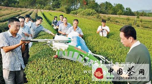 关于绍兴市新昌县成全国名优茶机械化采摘试验地的最新信息