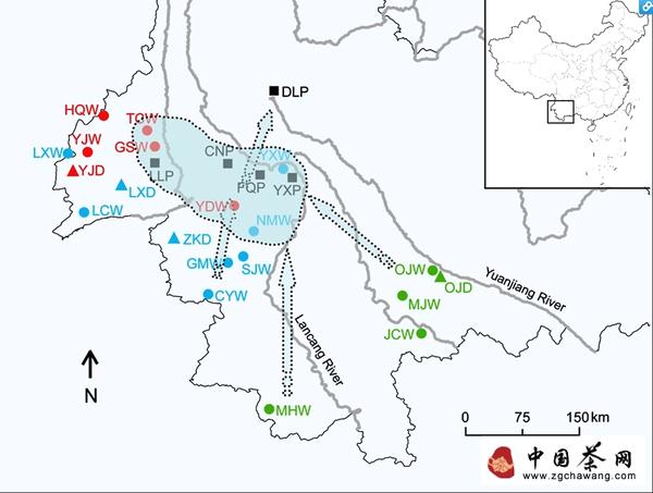 有关于昆明植物所“大理茶栽培起源研究”取得进展的热门新闻