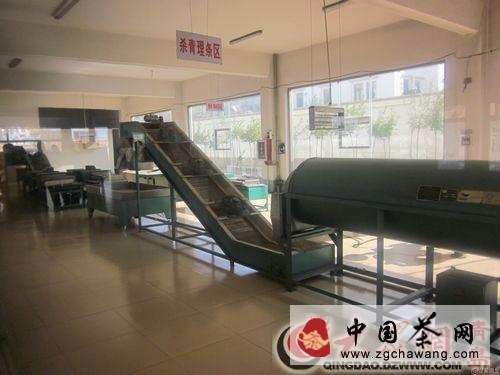 有关于山东即墨鳌角石：一村仨名牌 茶叶香飘万里的热门消息(1)