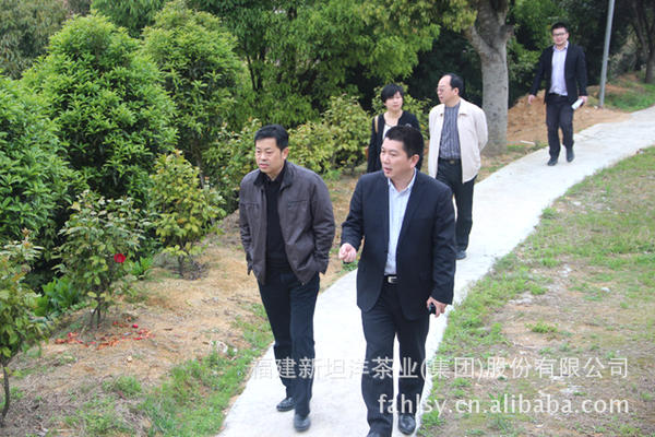 有关于省质监局至我司做“茶叶标准化技术委员会红茶工作组”进度调研的消息