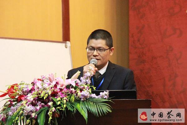 关于解码中国茶企发展之道在成都举行的信息