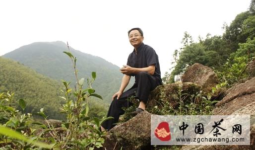 有关于听梁骏徳述说金骏眉的前世今生的新闻