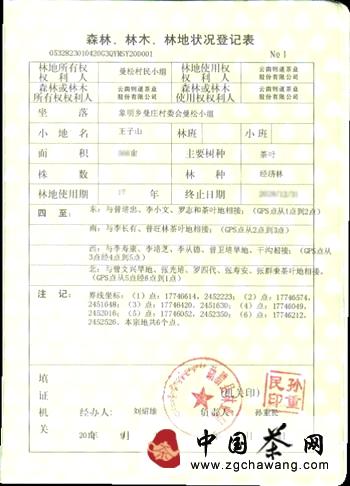 有关于生命之叶曼松贡茶成为普洱茶新宠的热门消息(1)