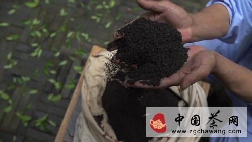 关于纪录片《茶》 堪称剧版“茶经”的消息