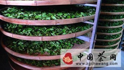 关于从厦门到安溪：以茶开始 以酒结束的热门消息